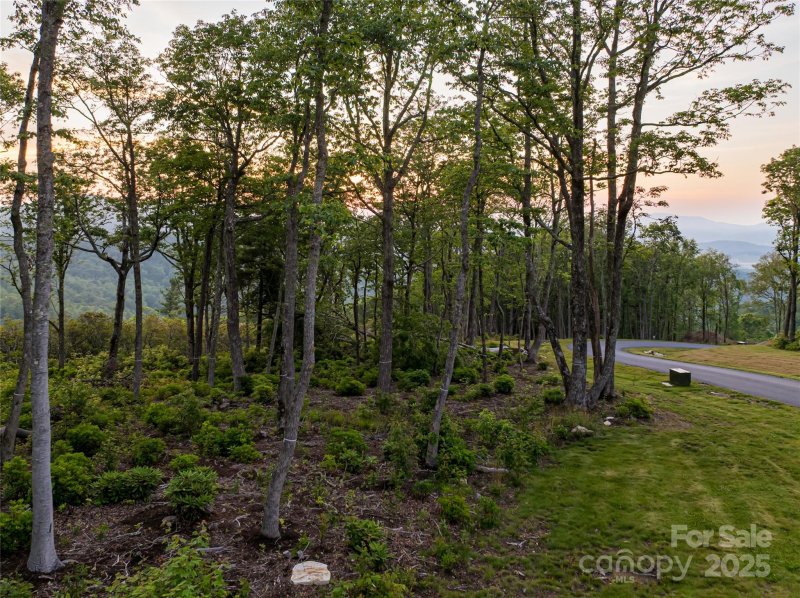 Property image 2 of 000 East Garden Trail in Sprout, Fletcher, NC 28732