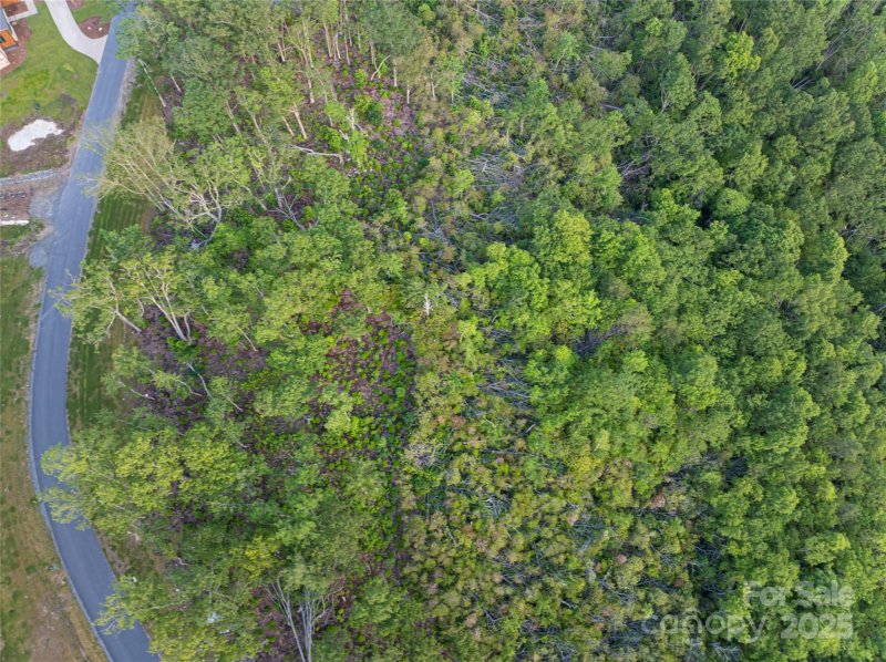 Property image 4 of 000 East Garden Trail in Sprout, Fletcher, NC 28732