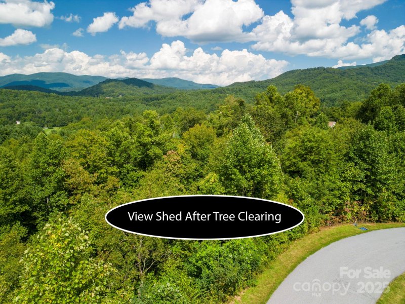 Property image 2 of 117 Sovereign Lane in Monarch Estates, Fairview, NC 28730