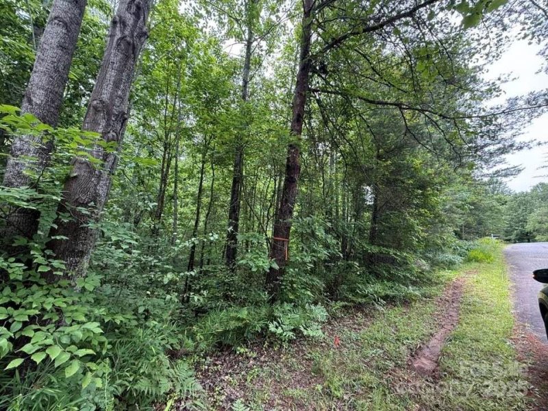 Property image 4 of 0 Woody Circle in Woodys Estates, Tryon, NC 28782