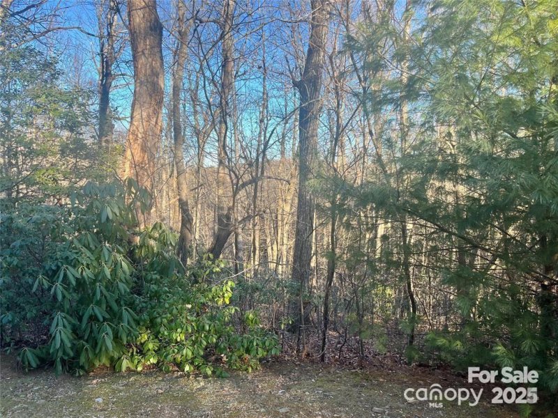 Property image 4 of 129 Pinnacle Peak Lane in Kenmure, Flat Rock, NC 28731