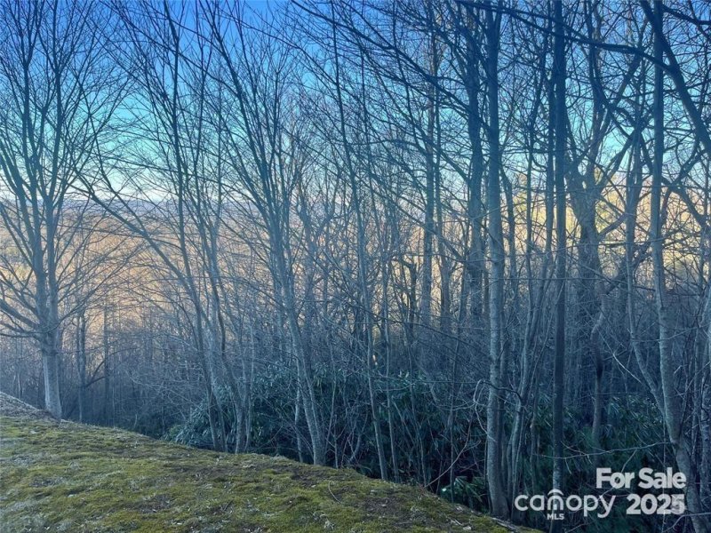 Property image 2 of 000 Roxworth Court in Kenmure, Flat Rock, NC 28731