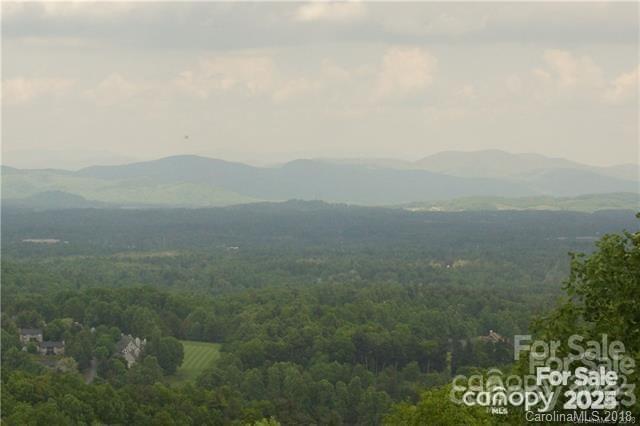 Property image 3 of 000 Roxworth Court in Kenmure, Flat Rock, NC 28731