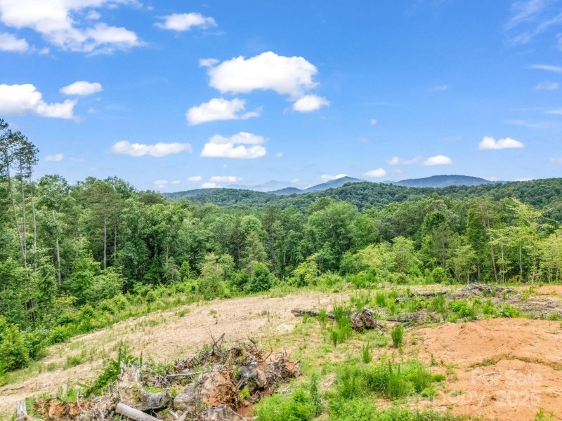 Property image 2 at Lot 52 Shady Bark Lane, Rutherfordton, NC 28139