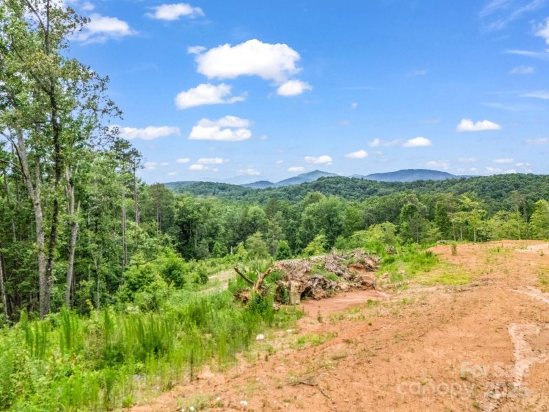 Property image 5 at Lot 52 Shady Bark Lane, Rutherfordton, NC 28139