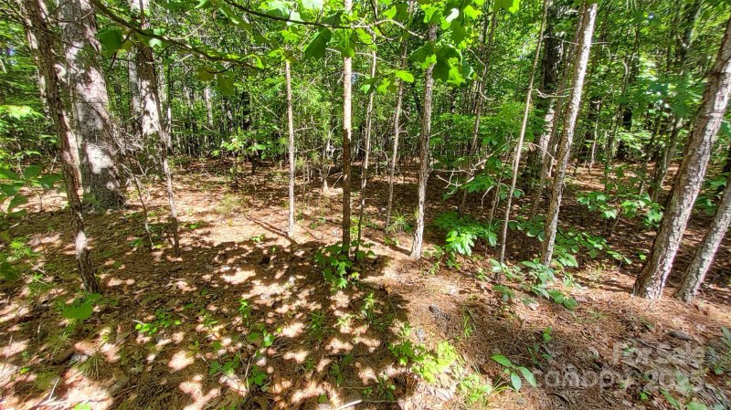 Property image 5 of 23 24 Loblolly Lane in Ridgeview At Lake Lure, Mill Spring, NC 28756