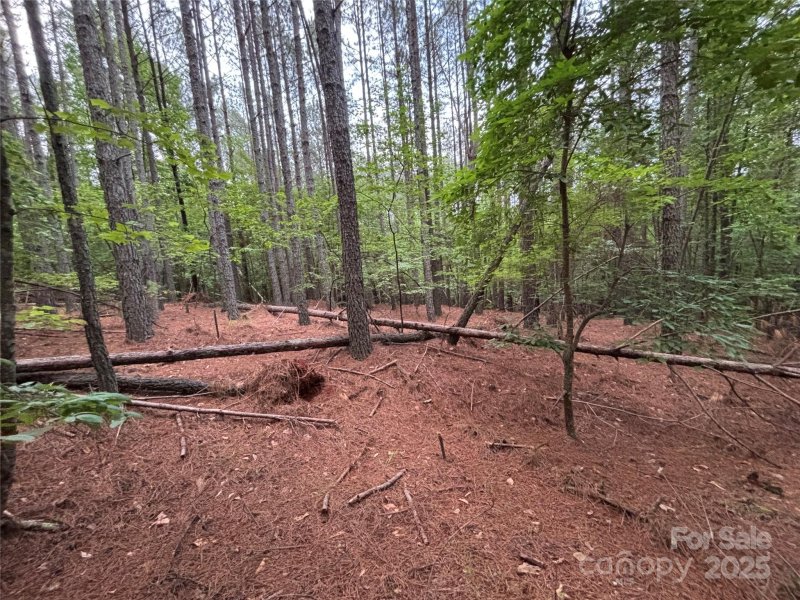 Property image 4 at 2926 E Paradise Harbor Drive, Connelly Springs, NC 28612