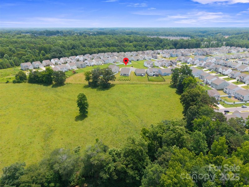 Property image 3 of 117 Carmine Court in Sutters Mill, Troutman, NC 28166