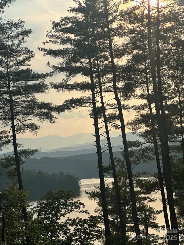 Property image 2 at 385 Dockside Drive, Nebo, NC 28761