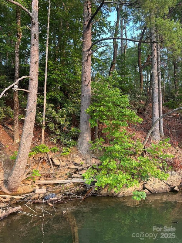 Property image 5 at 385 Dockside Drive, Nebo, NC 28761