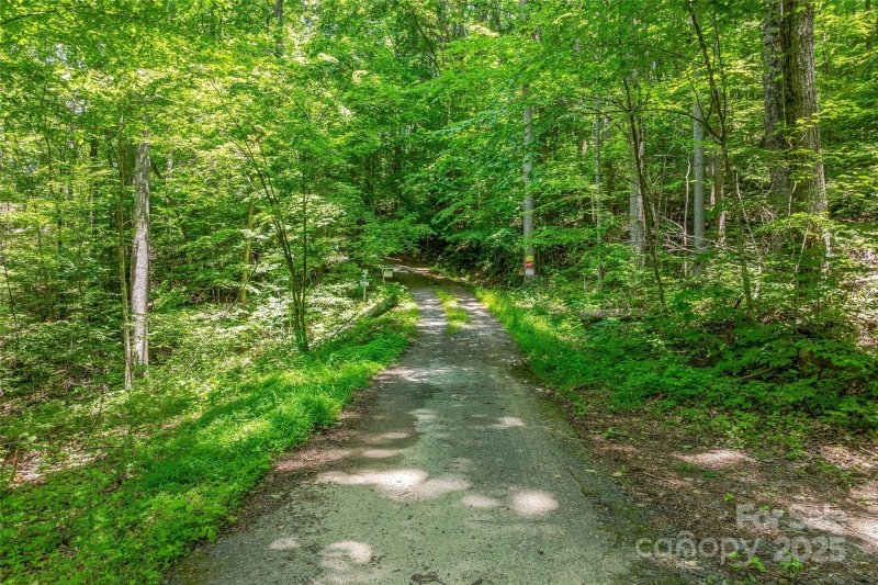 Property image 2 of 99999 Countryside Estate in Countryside Estates, Barnardsville, NC 28709