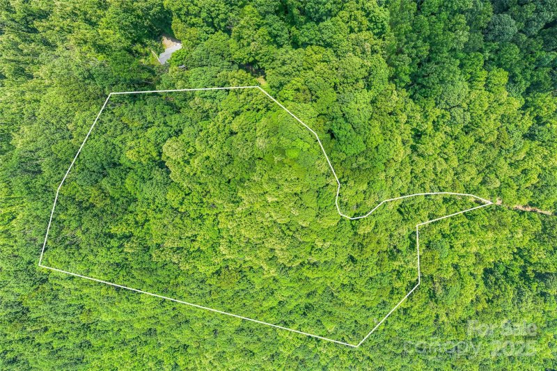 Property image 3 of 99999 Countryside Estate in Countryside Estates, Barnardsville, NC 28709