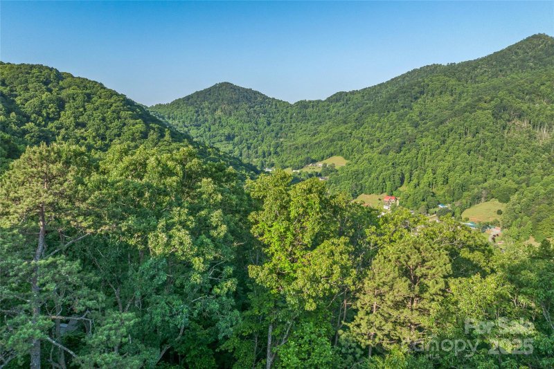 Property image 5 of 99999 Countryside Estate in Countryside Estates, Barnardsville, NC 28709