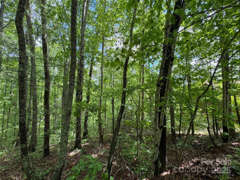 99999 Morning Star Drive