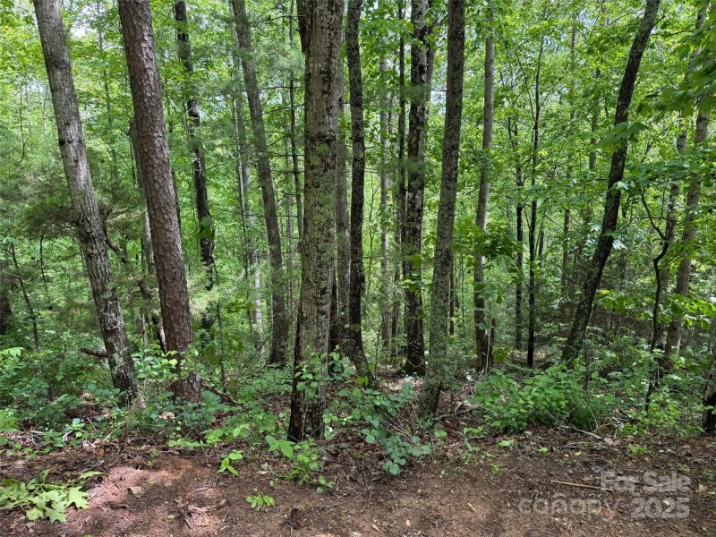 Property image 3 of 99999 Morning Star Drive in Morning Star Estates, Leicester, NC 28748