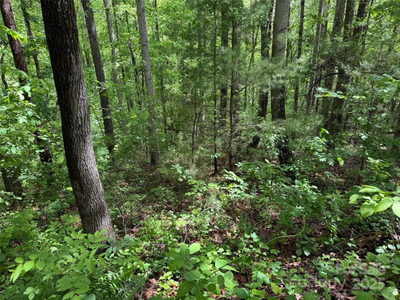 Property image 4 of 99999 Morning Star Drive in Morning Star Estates, Leicester, NC 28748