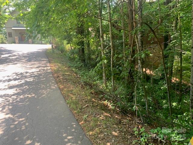 Property image 3 of 125 Browning Road in Cheshire, Black Mountain, NC 28711