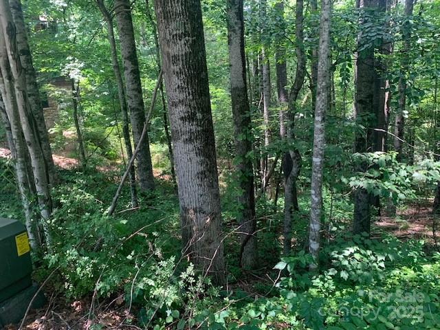 Property image 4 of 125 Browning Road in Cheshire, Black Mountain, NC 28711