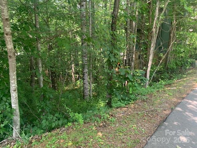 Property image 5 of 125 Browning Road in Cheshire, Black Mountain, NC 28711