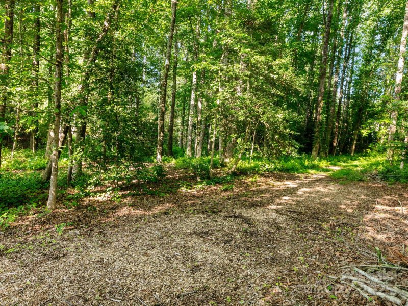 Property image 3 of 000 Old Town Way in Woodhaven, Hendersonville, NC 28739