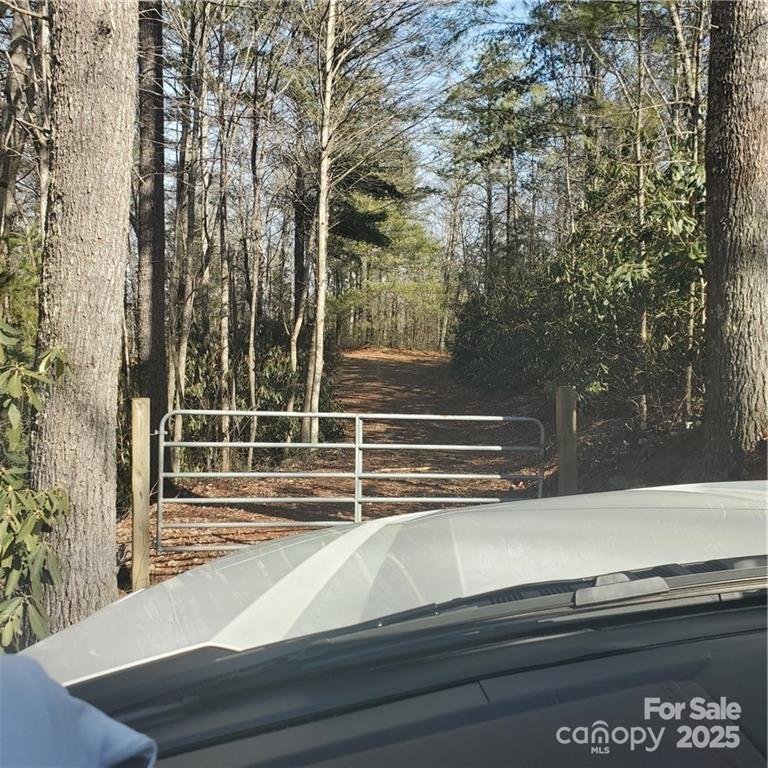 Curtis Mountain, Lenoir Community