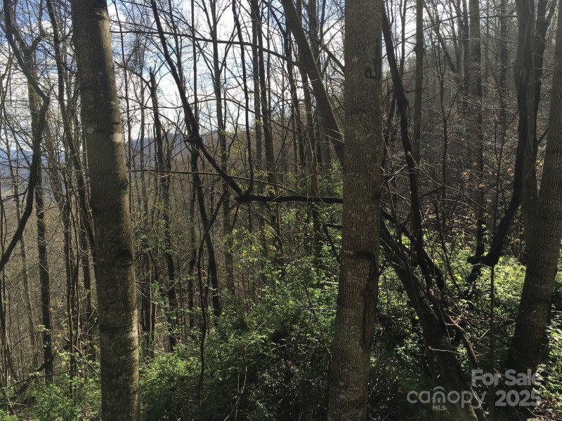 Property image 3 of 0 Kitty Lane in Mountain Lake Forest, Waynesville, NC 28785