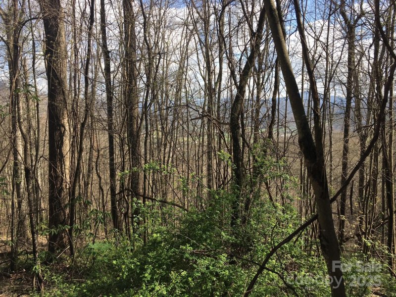 Property image 5 of 0 Kitty Lane in Mountain Lake Forest, Waynesville, NC 28785