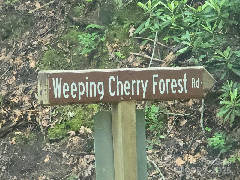 Property image 3 of 89 Weeping Cherry Forest Road in Fairview Forest, Fairview, NC 28730