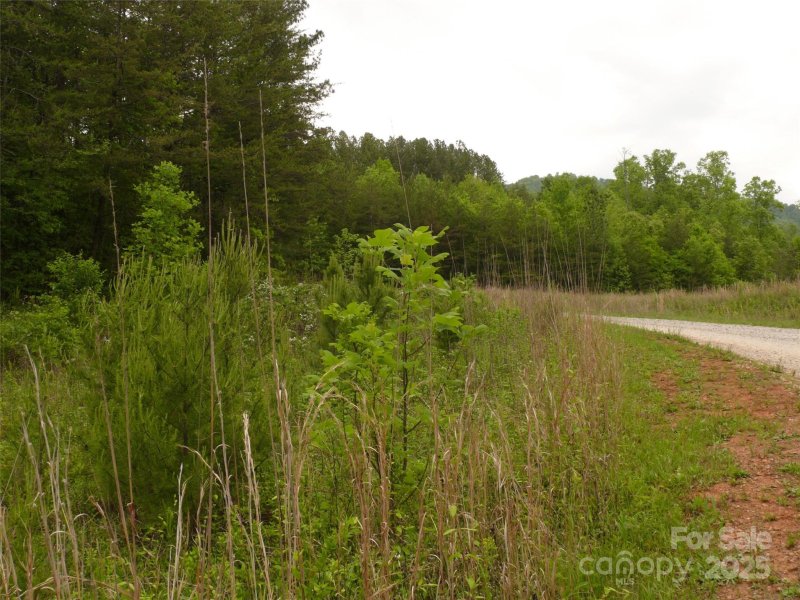 Property image 2 of Lot 14 Vineyards Way in The Vineyards, Lake Lure, NC 28746