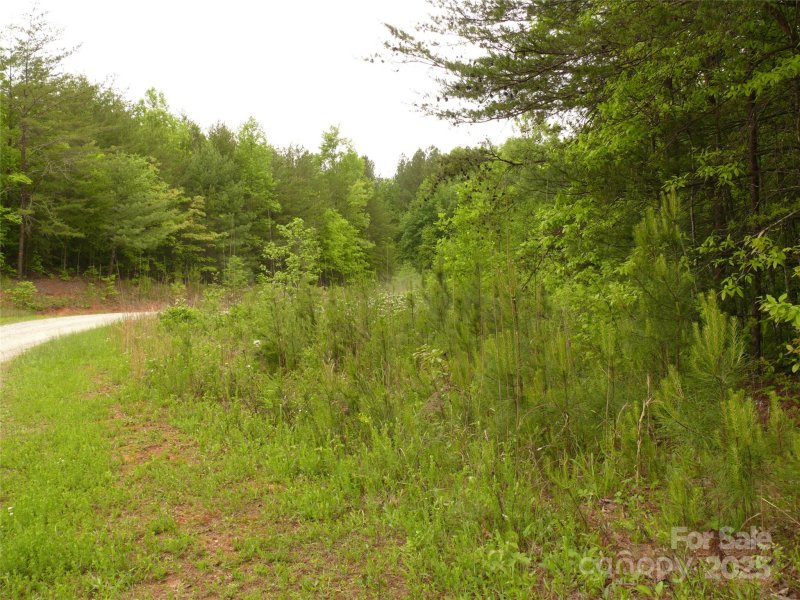 Property image 3 of Lot 14 Vineyards Way in The Vineyards, Lake Lure, NC 28746