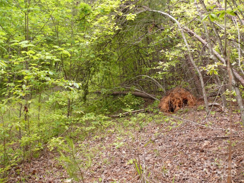 Property image 5 of Lot 14 Vineyards Way in The Vineyards, Lake Lure, NC 28746