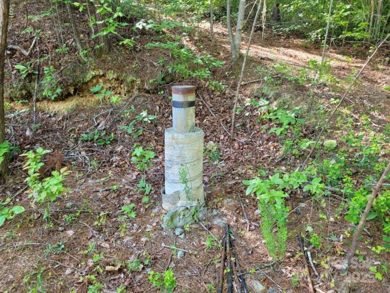 Deerwood, Marion community