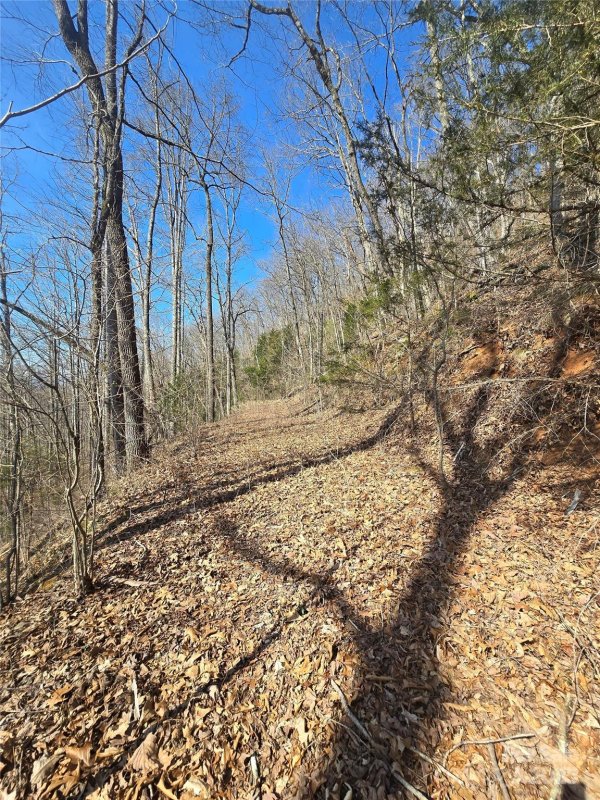 30 Black Mountain Road