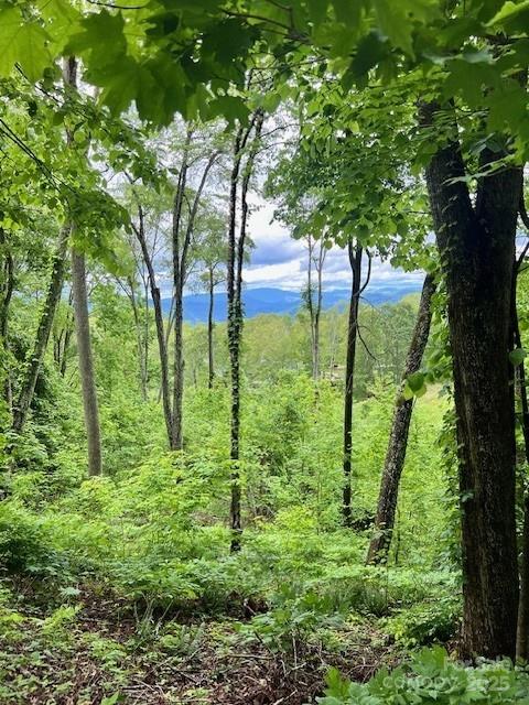 Lot 81 Ball Camp Road