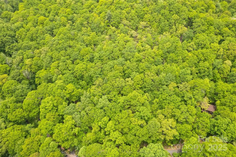 Property image 2 of Lot 4 5 Blk 3 Skyline Drive in Eagles Nest Mountain, Waynesville, NC 28786