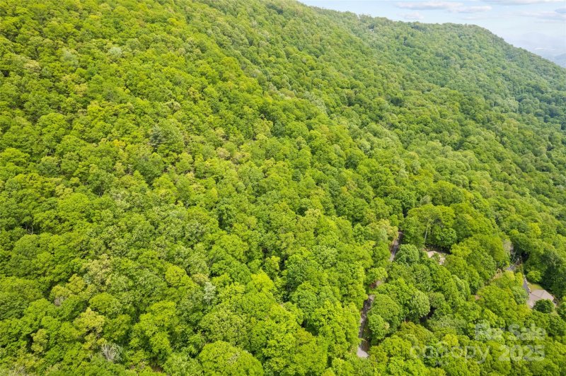 Property image 3 of Lot 4 5 Blk 3 Skyline Drive in Eagles Nest Mountain, Waynesville, NC 28786