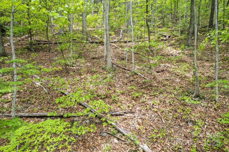 Property image 4 of Lot 4 5 Blk 3 Skyline Drive in Eagles Nest Mountain, Waynesville, NC 28786