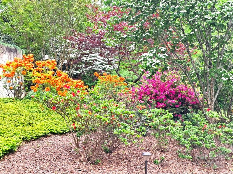 Property image 3 of 69 Benhurst Court in Ridgeview At Sweetwater Hills, Hendersonville, NC 28791