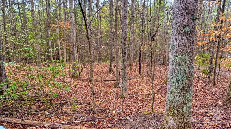 Property image 4 at 447 Hopewell Church Road, Catawba, NC 28609