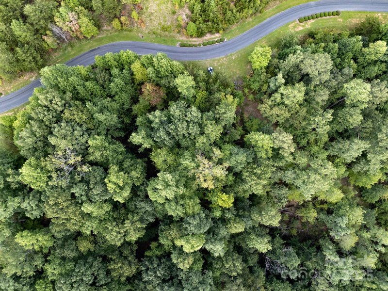 Property image 3 of Tbd Parkway Road in Lake Adger, Mill Spring, NC 28756