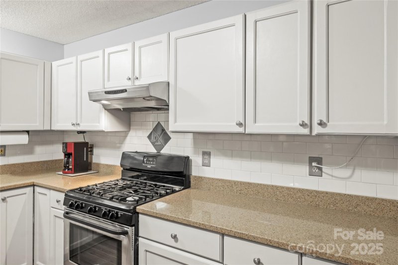 Property image 5 at 171 Highland Woods Court, Denver, NC 28037