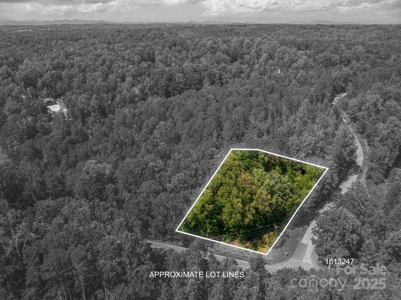 Property image 4 of Lot 6 Cleghorn Mill Road in Moss Drive at Cleghorn, Rutherfordton, NC 28139