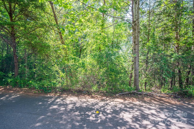Property image 3 of Lot 24 Deacons Ridge Drive in Westbrook Acres, Rutherfordton, NC 28139