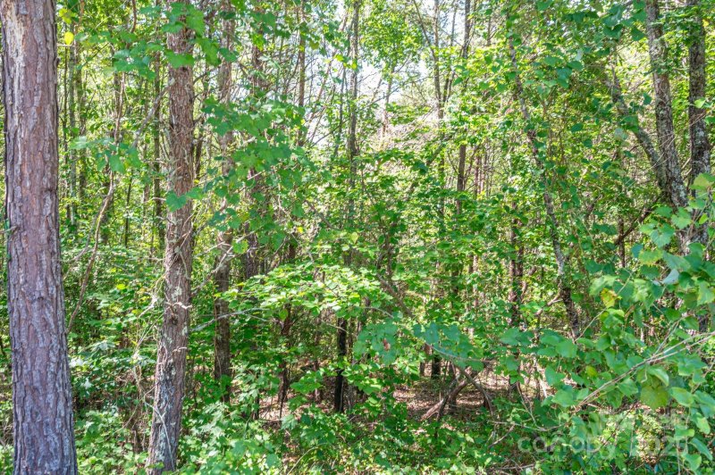 Property image 4 of Lot 13 Meadow Crossing Drive in Westbrook Acres, Rutherfordton, NC 28139
