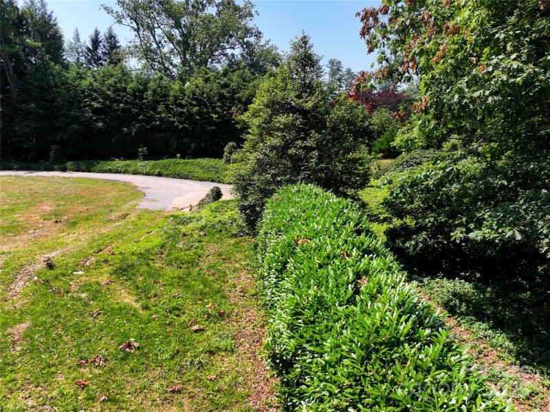 Property image 4 at 59 Stuyvesant Road, Asheville, NC 28803