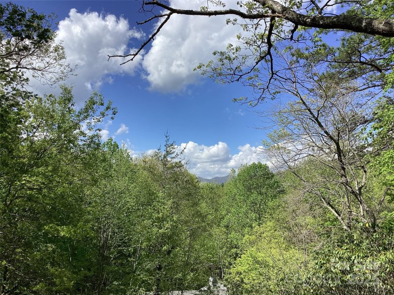 Property image 5 of 31 Rhododendron Road in Christmount, Black Mountain, NC 28711