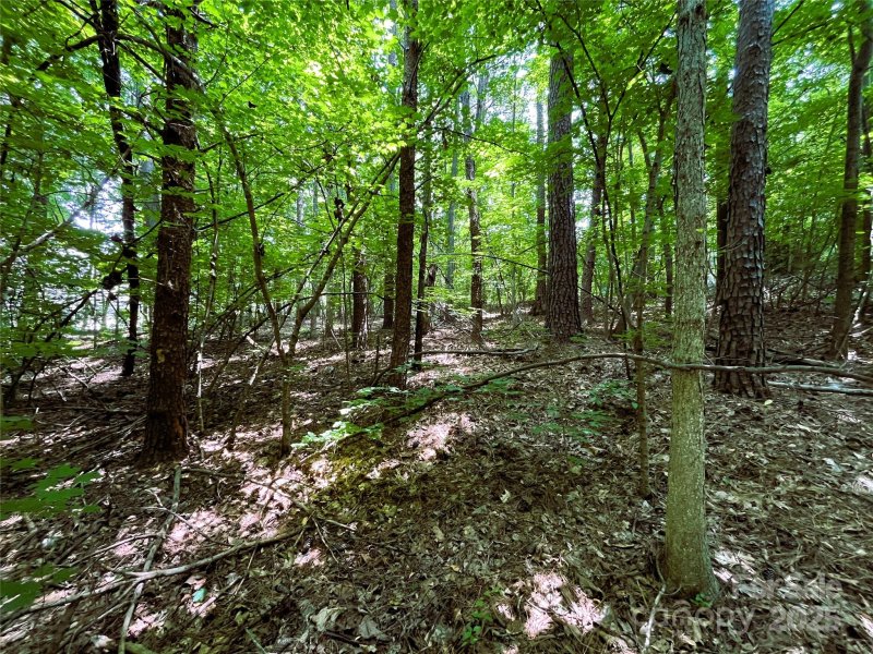 Property image 4 of 4225 Nicole Eileen Lane in Overlook, Charlotte, NC 28216