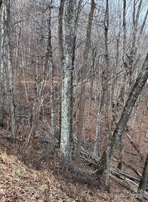 00 Spring Brook Drive