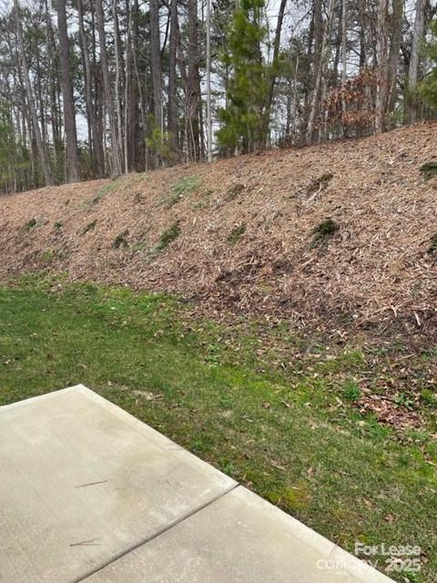 Property image 5 at 6086 Artigas Drive, Indian Land, SC 29707