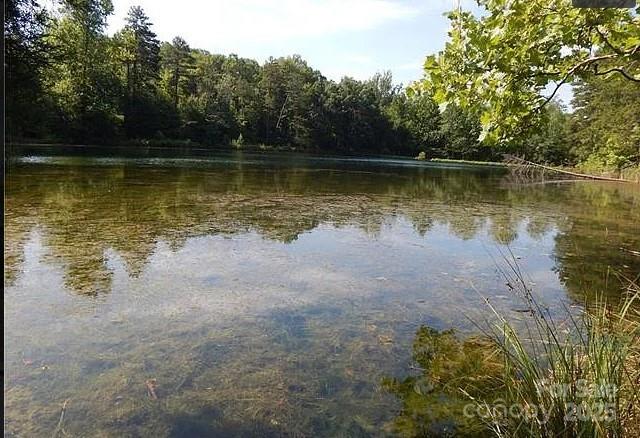 Property image 5 at 1228 Churchfield Lane, Rockwell, NC 28138